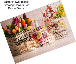 Easter Flower Ideas: Growing Flowers For Easter Decor