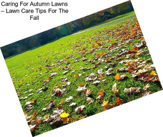 Caring For Autumn Lawns – Lawn Care Tips For The Fall