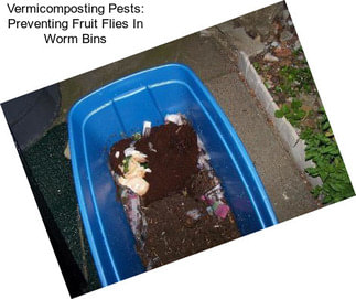 Vermicomposting Pests: Preventing Fruit Flies In Worm Bins