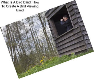 What Is A Bird Blind: How To Create A Bird Viewing Blind