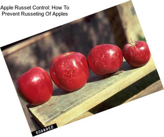 Apple Russet Control: How To Prevent Russeting Of Apples
