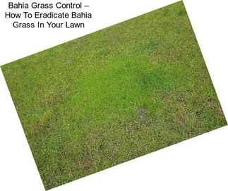 Bahia Grass Control – How To Eradicate Bahia Grass In Your Lawn