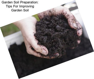 Garden Soil Preparation: Tips For Improving Garden Soil