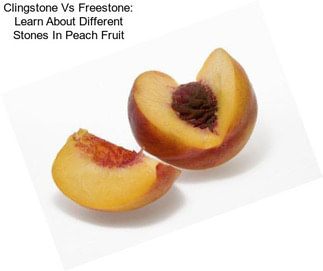 Clingstone Vs Freestone: Learn About Different Stones In Peach Fruit
