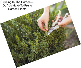 Pruning In The Garden – Do You Have To Prune Garden Plants