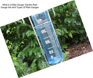 What Is A Rain Gauge: Garden Rain Gauge Info And Types Of Rain Gauges