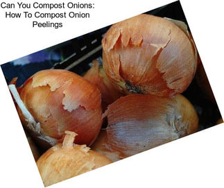 Can You Compost Onions: How To Compost Onion Peelings
