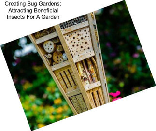 Creating Bug Gardens: Attracting Beneficial Insects For A Garden