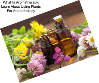 What Is Aromatherapy: Learn About Using Plants For Aromatherapy