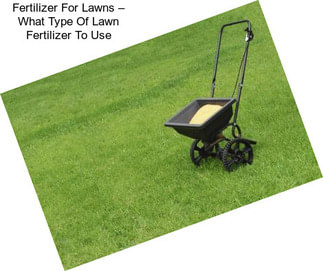 Fertilizer For Lawns – What Type Of Lawn Fertilizer To Use