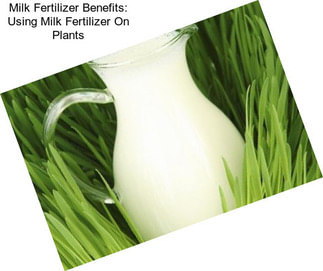 Milk Fertilizer Benefits: Using Milk Fertilizer On Plants