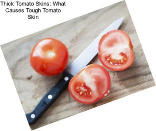 Thick Tomato Skins: What Causes Tough Tomato Skin