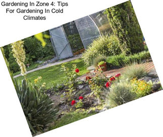 Gardening In Zone 4: Tips For Gardening In Cold Climates