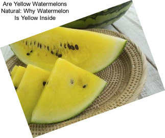 Are Yellow Watermelons Natural: Why Watermelon Is Yellow Inside