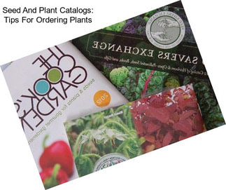 Seed And Plant Catalogs: Tips For Ordering Plants