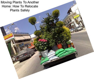 Moving Plants To Another Home: How To Relocate Plants Safely