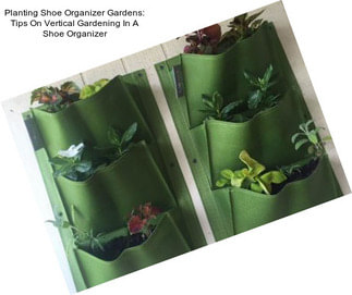 Planting Shoe Organizer Gardens: Tips On Vertical Gardening In A Shoe Organizer