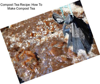 Compost Tea Recipe: How To Make Compost Tea