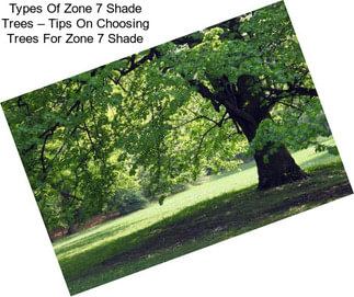 Types Of Zone 7 Shade Trees – Tips On Choosing Trees For Zone 7 Shade