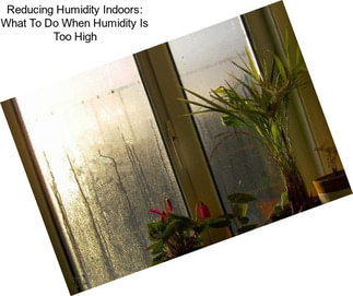Reducing Humidity Indoors: What To Do When Humidity Is Too High