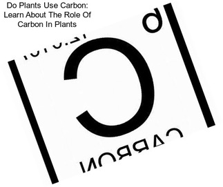 Do Plants Use Carbon: Learn About The Role Of Carbon In Plants