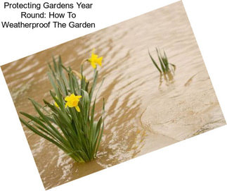 Protecting Gardens Year Round: How To Weatherproof The Garden