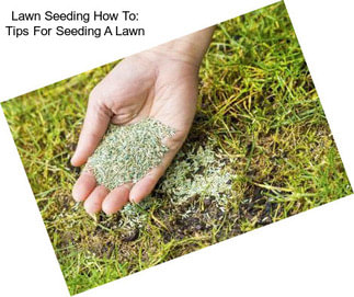 Lawn Seeding How To: Tips For Seeding A Lawn