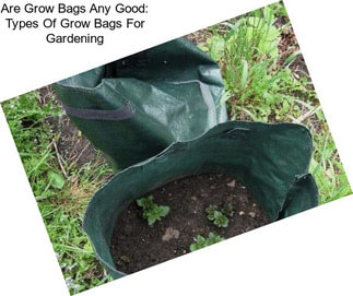 Are Grow Bags Any Good: Types Of Grow Bags For Gardening