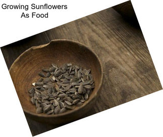 Growing Sunflowers As Food