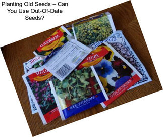Planting Old Seeds – Can You Use Out-Of-Date Seeds?