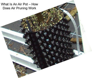 What Is An Air Pot – How Does Air Pruning Work