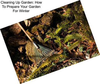 Cleaning Up Garden: How To Prepare Your Garden For Winter
