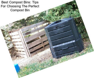 Best Compost Bins: Tips For Choosing The Perfect Compost Bin