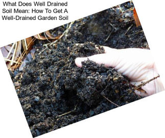 What Does Well Drained Soil Mean: How To Get A Well-Drained Garden Soil