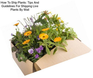 How To Ship Plants: Tips And Guidelines For Shipping Live Plants By Mail