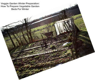 Veggie Garden Winter Preparation: How To Prepare Vegetable Garden Beds For Winter