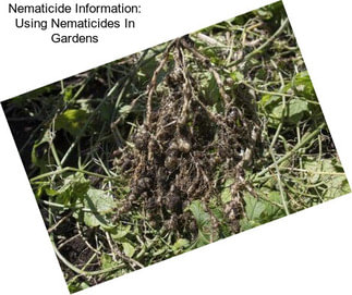 Nematicide Information: Using Nematicides In Gardens