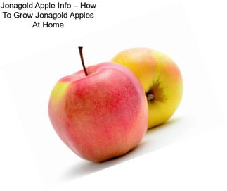 Jonagold Apple Info – How To Grow Jonagold Apples At Home