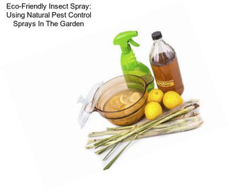 Eco-Friendly Insect Spray: Using Natural Pest Control Sprays In The Garden