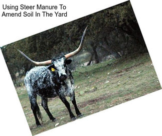 Using Steer Manure To Amend Soil In The Yard