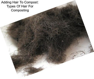 Adding Hair To Compost: Types Of Hair For Composting