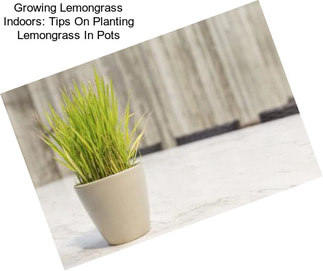 Growing Lemongrass Indoors: Tips On Planting Lemongrass In Pots