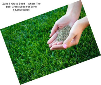 Zone 6 Grass Seed – What\'s The Best Grass Seed For Zone 6 Landscapes