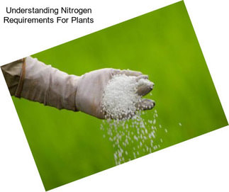 Understanding Nitrogen Requirements For Plants