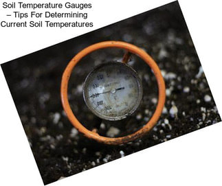 Soil Temperature Gauges – Tips For Determining Current Soil Temperatures