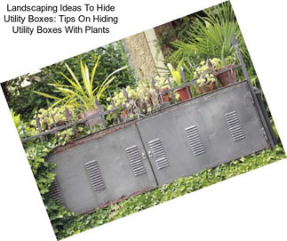 Landscaping Ideas To Hide Utility Boxes: Tips On Hiding Utility Boxes With Plants