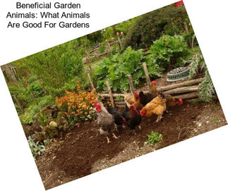 Beneficial Garden Animals: What Animals Are Good For Gardens