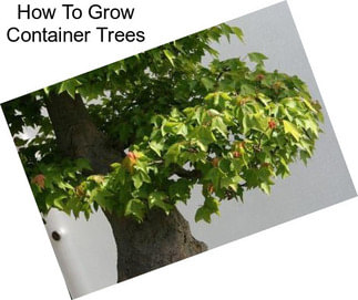 How To Grow Container Trees