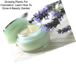 Growing Plants For Cosmetics: Learn How To Grow A Beauty Garden