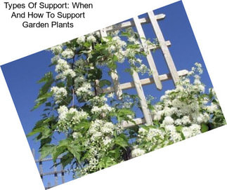 Types Of Support: When And How To Support Garden Plants